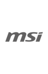 MSI